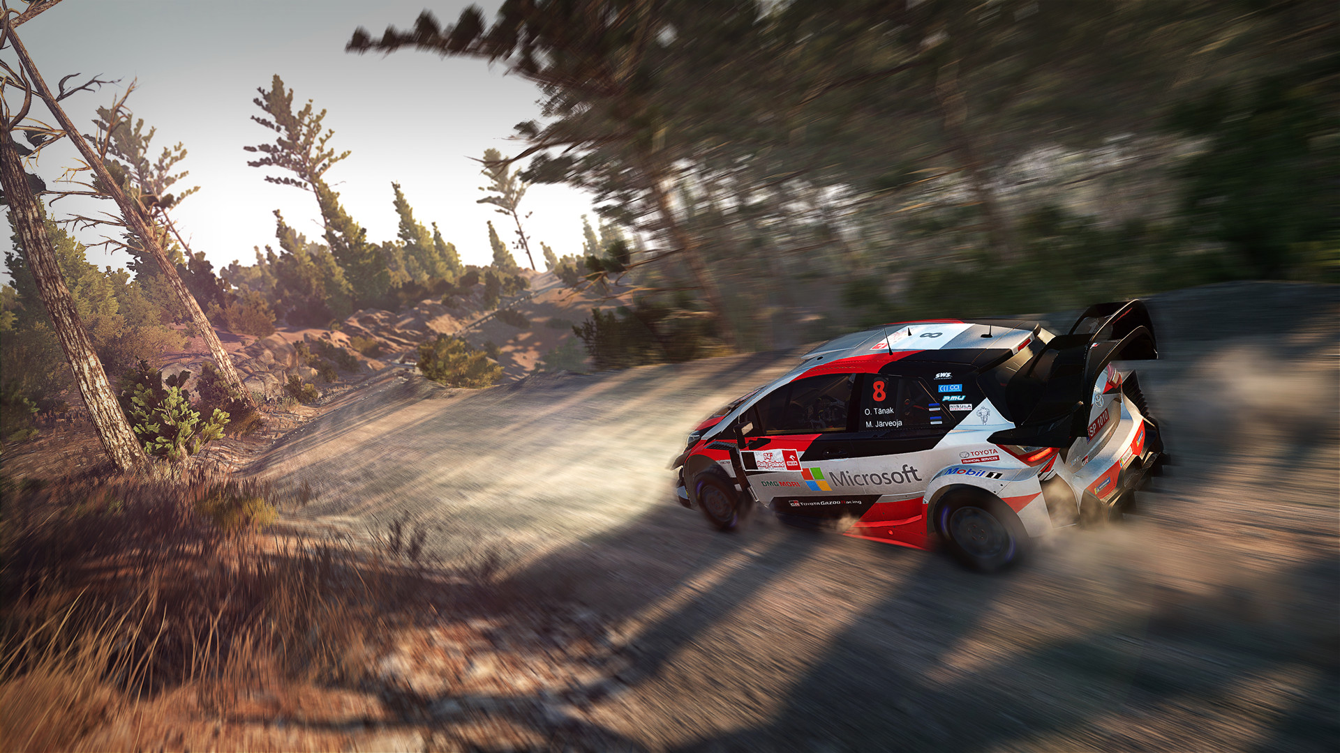 世界汽车拉力锦标赛8|全DLC|18G大小|官方中文|支持手柄|WRC 8 FIA World Rally Championship