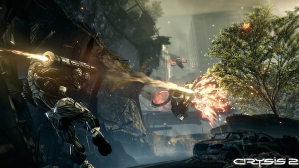 图片[2]-孤岛危机2/Crysis 2-秋风资源网