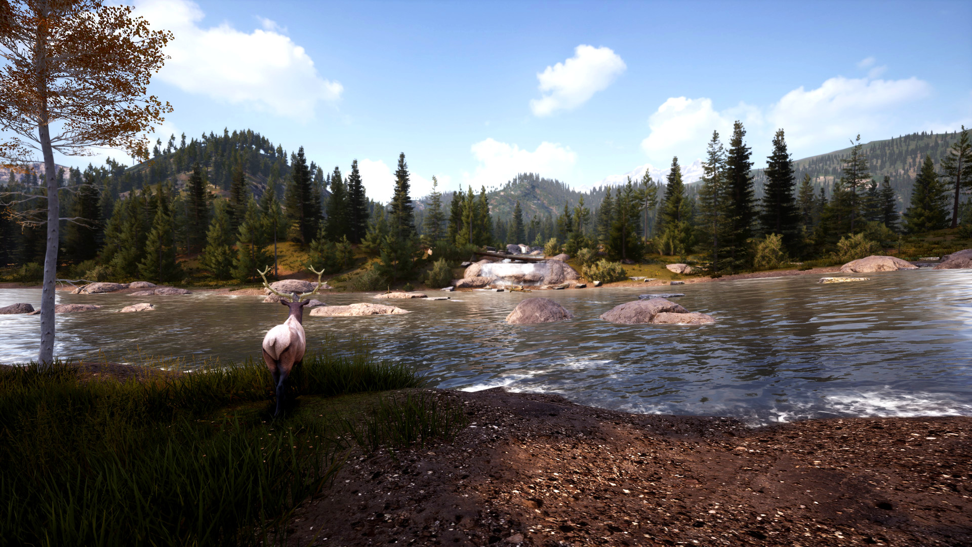 图片[4]-模拟狩猎2/Hunting Simulator 2（v1.0.0.311.66949整合护林员生活DLC）-秋风资源网