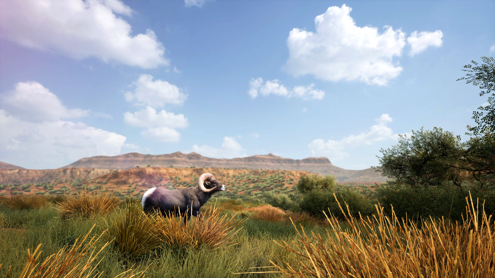 图片[6]-模拟狩猎2/Hunting Simulator 2（v1.0.0.311.66949整合护林员生活DLC）-秋风资源网