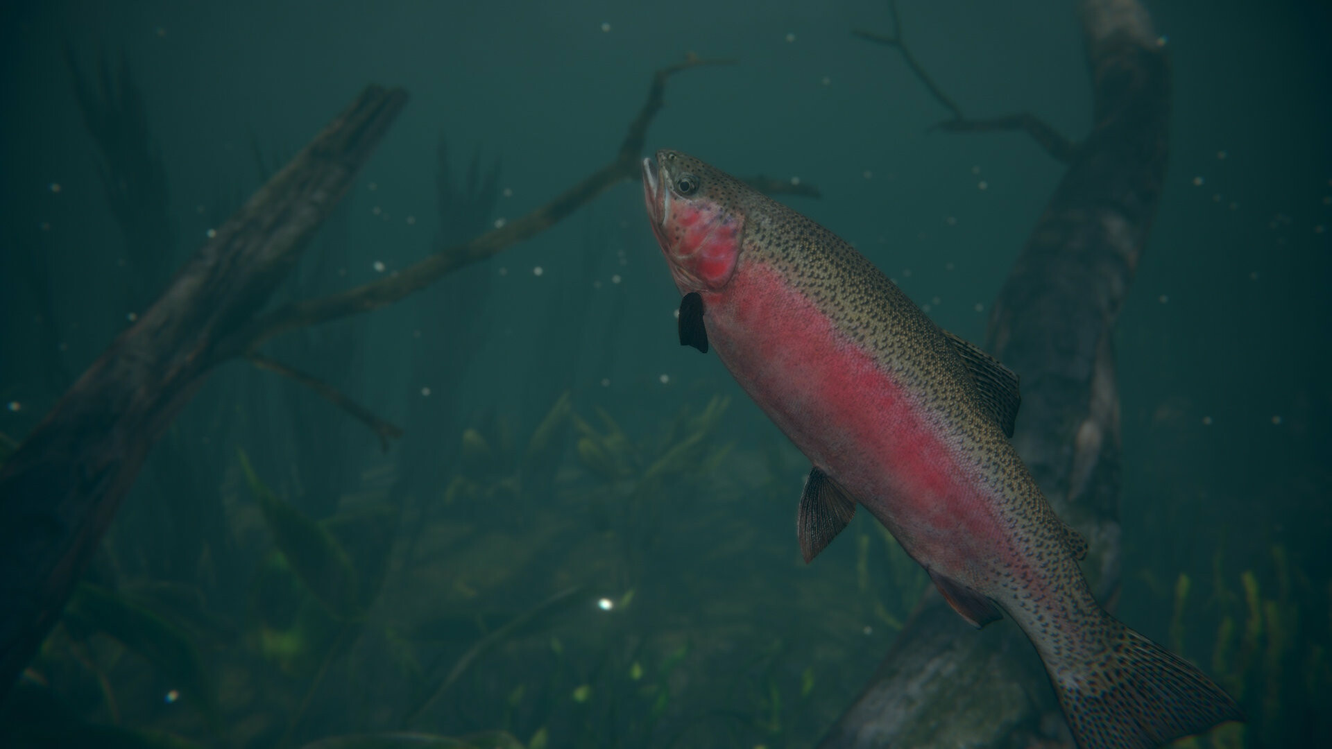 终极钓鱼模拟器2|正式版|官方中文|支持手柄|Ultimate Fishing Simulator 2插图8