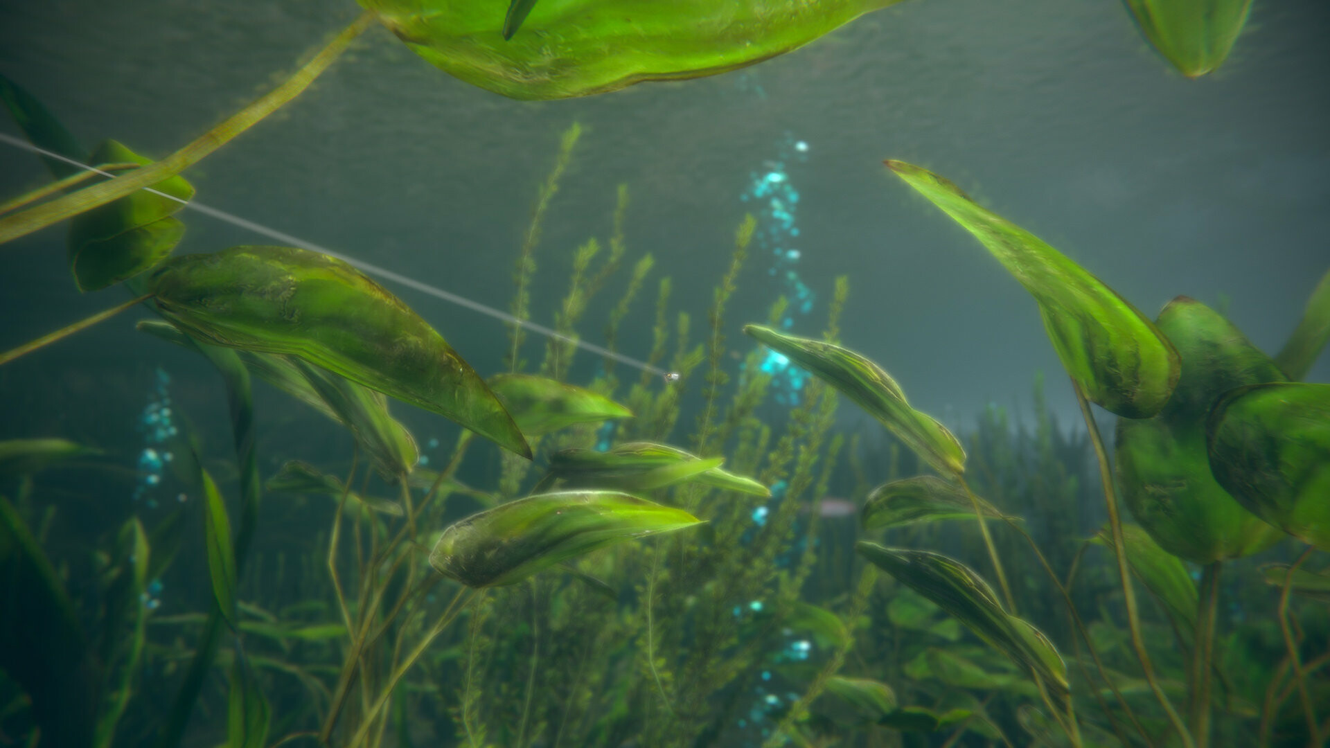终极钓鱼模拟器2|Ultimate Fishing Simulator 2|1.25.05.09