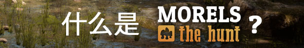 图片[1]-羊肚菌：狩猎/Morels: The Hunt Build.15781103|动作冒险|容量12.1GB|免安装绿色中文版-马克游戏