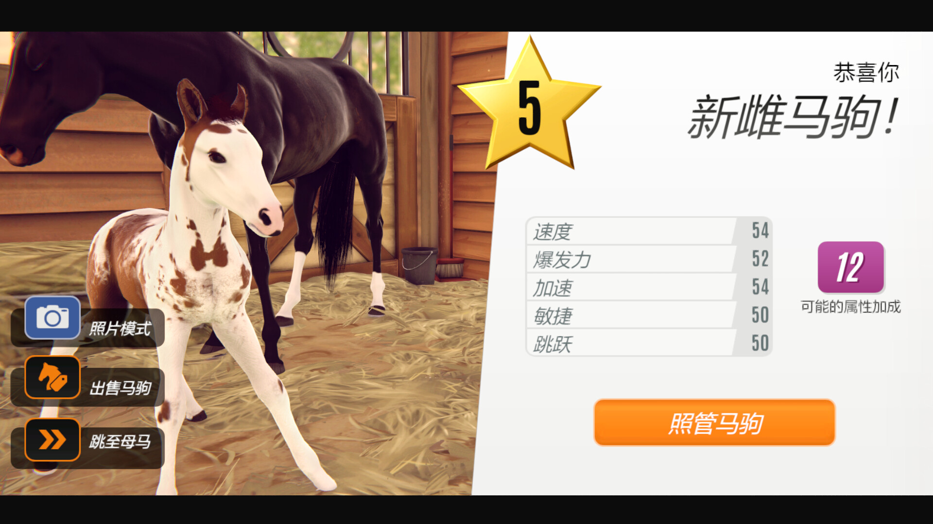 家族传奇：马匹养成竞技|v20250608|官方中文|支持手柄|Rival Stars Horse Racing: Desktop Edition插图7