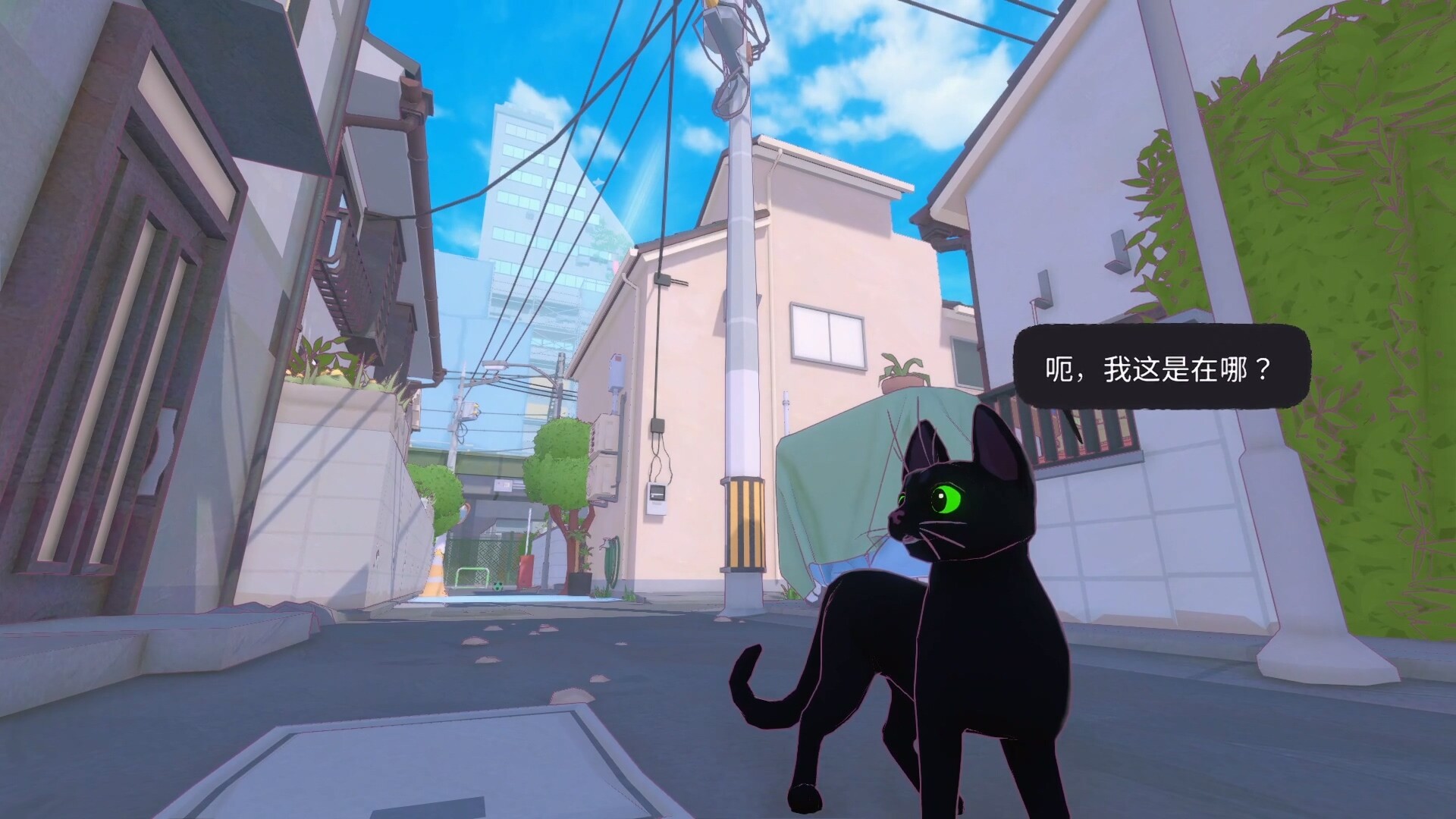 小猫咪大城市|Little Kitty, Big City|1.25.2.25
