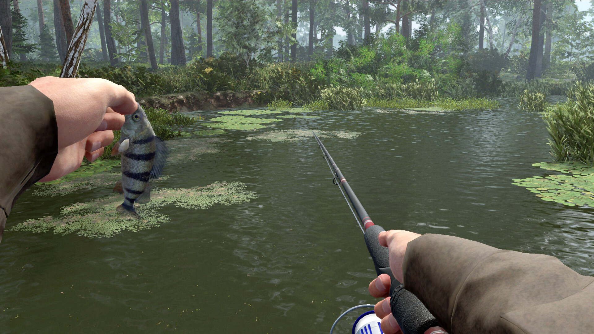 专业钓鱼2|官方中文|Professional Fishing 2插图6跳跳游戏网