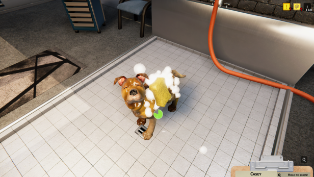 动物收容所|v1.3.19.38.257|整合DLC|官方中文|Animal Shelter插图4跳跳游戏网