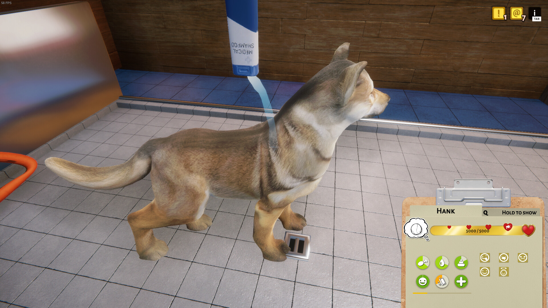 动物收容所/Animal Shelter v1.3.19|模拟经营|容量7.6GB|免安装绿色中文版|支持键盘.鼠标-小辉娱乐网