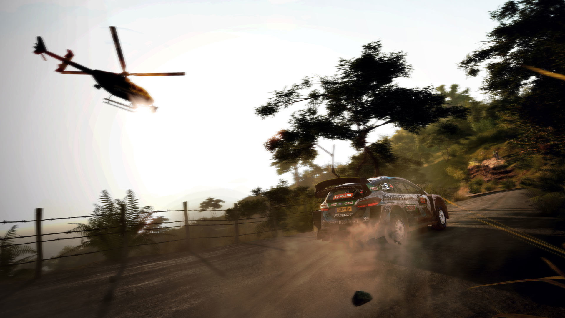世界汽车拉力锦标赛9|全DLC|19G大小|官方中文|支持手柄|WRC 9 FIA World Rally Championship