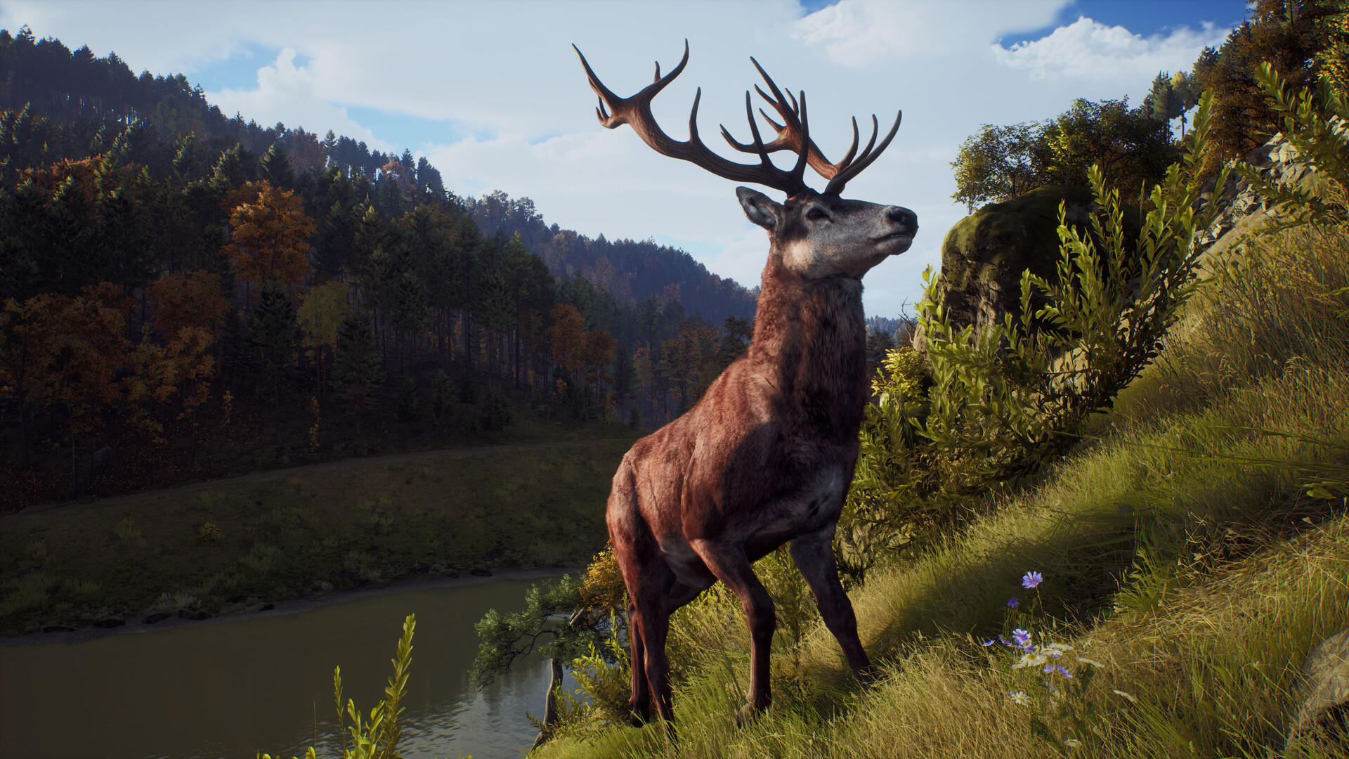 狩猎之道|Way of The Hunter|1.26.8|整合全DLC