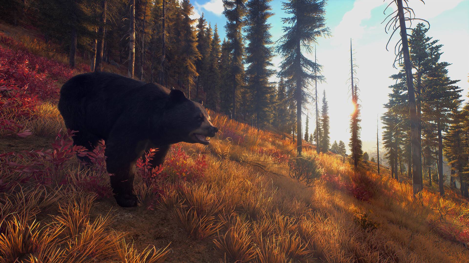 狩猎之道|Way of The Hunter|1.26.8|整合全DLC