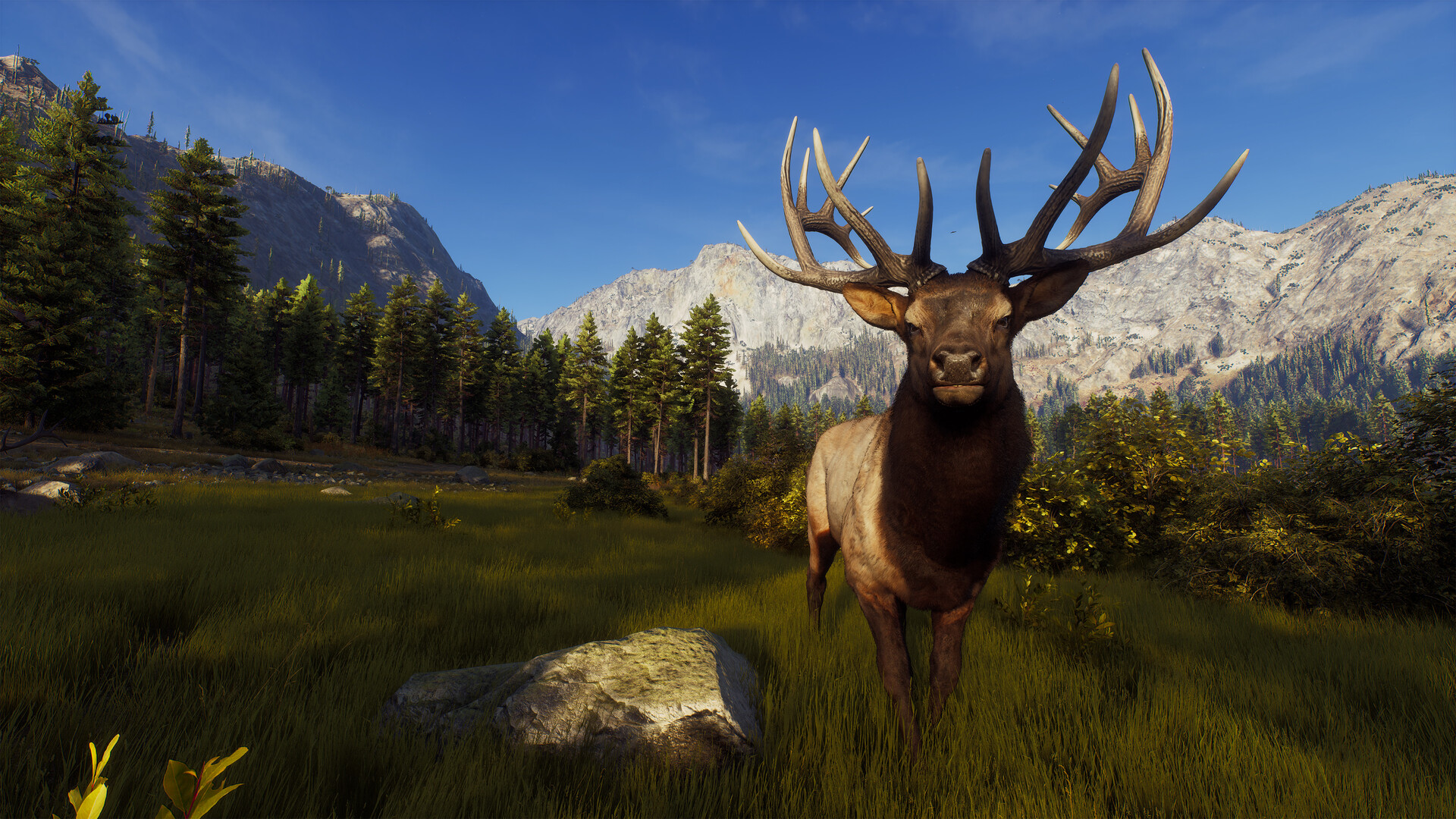 [安卓]狩猎之道|猎人之路|Way of the Hunter|v1.0.6|steam移植版|官中|4.96G插图6vtavta