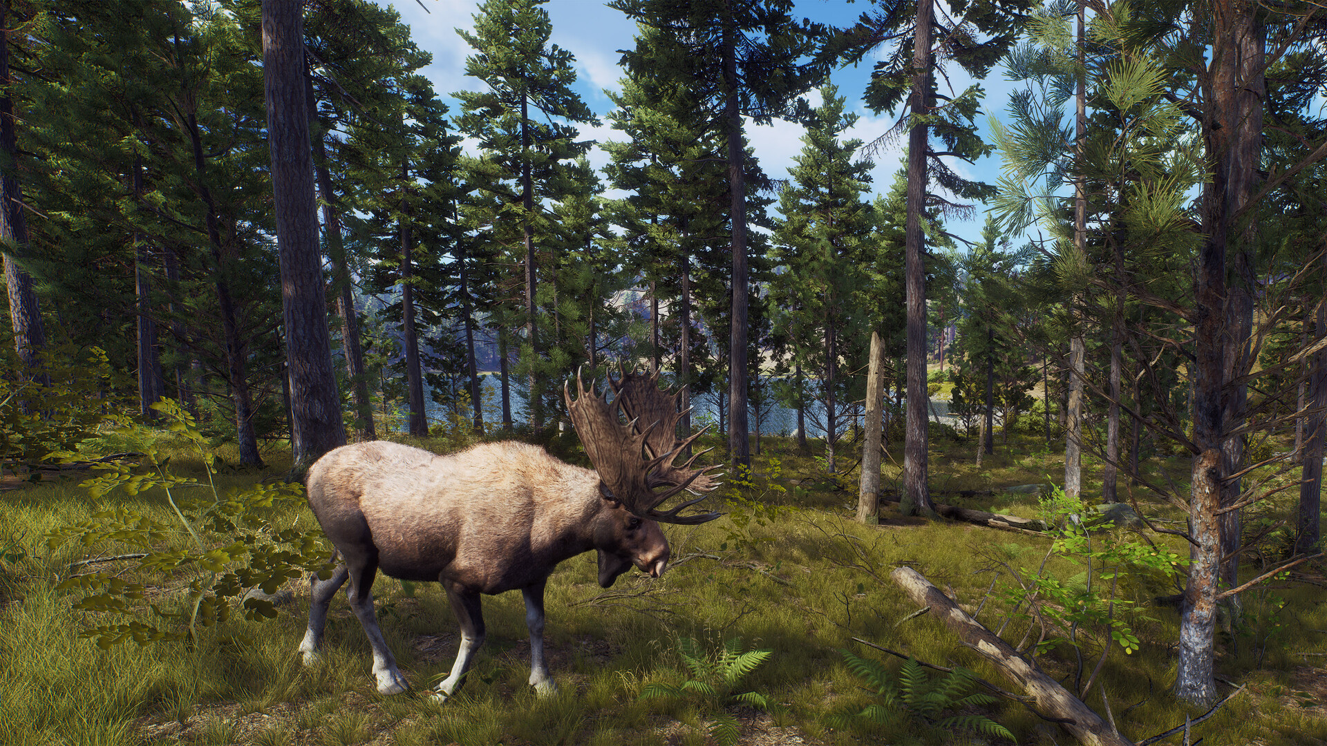狩猎之道|Way of The Hunter|1.26.8|整合全DLC