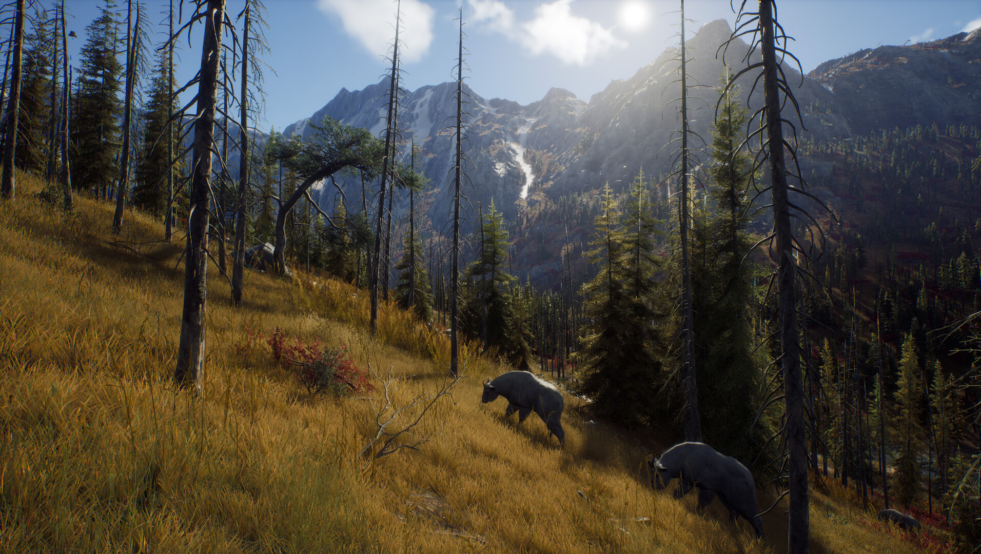 狩猎之道|Way of The Hunter|1.26.8|整合全DLC