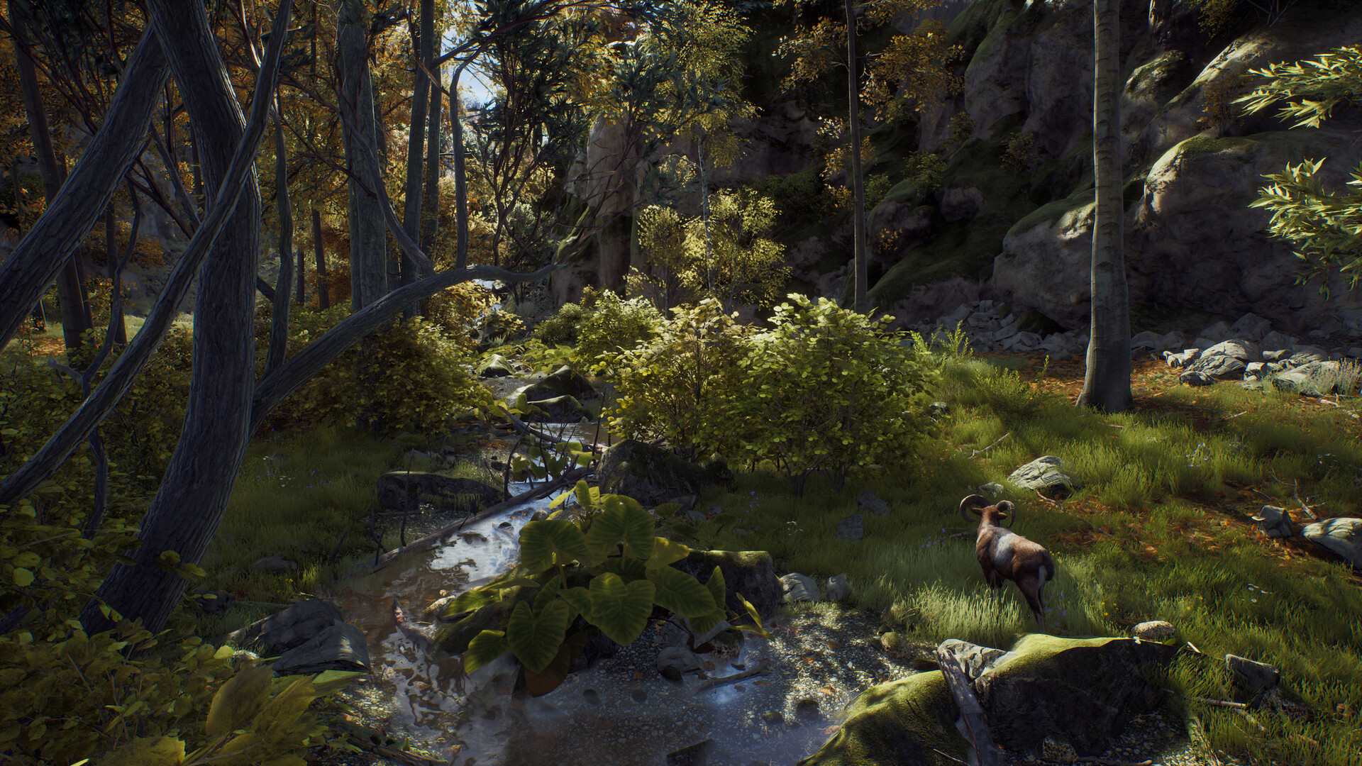 狩猎之道|Way of The Hunter|1.26.8|整合全DLC