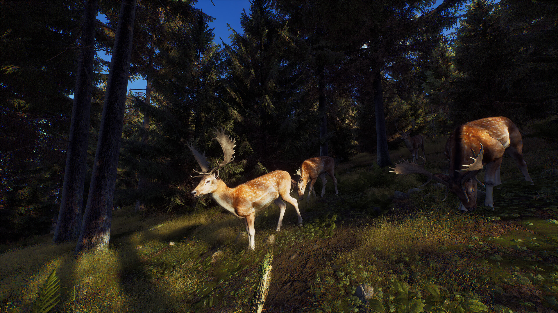 [安卓]狩猎之道|猎人之路|Way of the Hunter|v1.0.6|steam移植版|官中|4.96G插图7vtavta