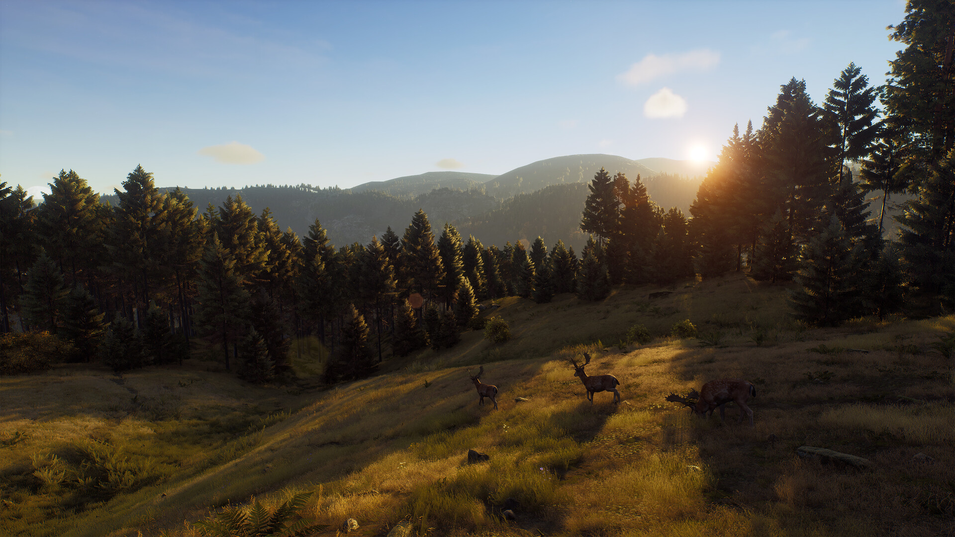 狩猎之道|Way of The Hunter|1.26.8|整合全DLC