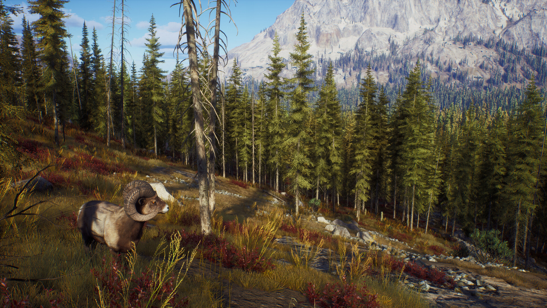 狩猎之道|Way of The Hunter|1.26.8|整合全DLC