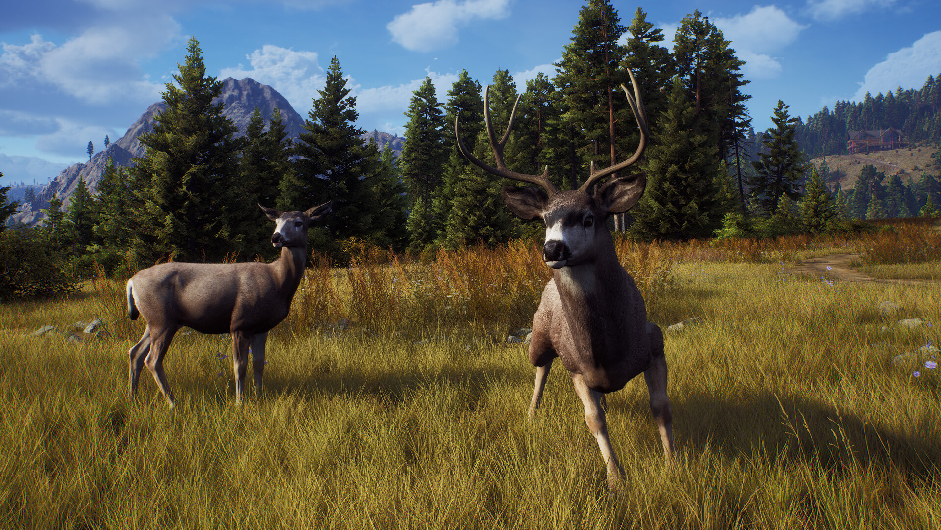 狩猎之道|Way of The Hunter|1.26.8|整合全DLC