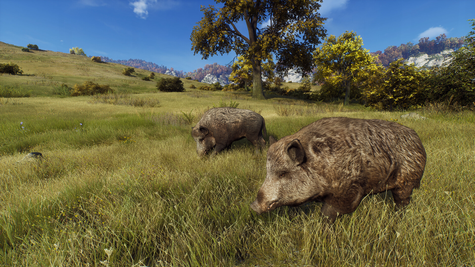 狩猎之道|Way of The Hunter|1.26.8|整合全DLC
