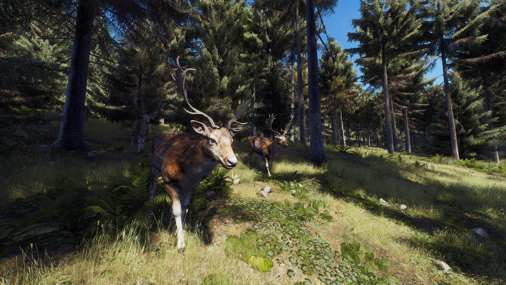 狩猎之道|Way of The Hunter|1.26.8|整合全DLC