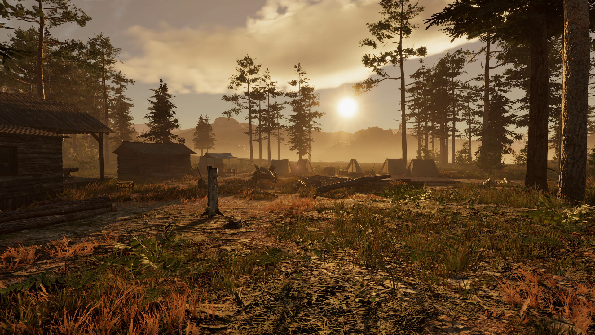 狂野西部时代|Wild West Dynasty|1.0.9094