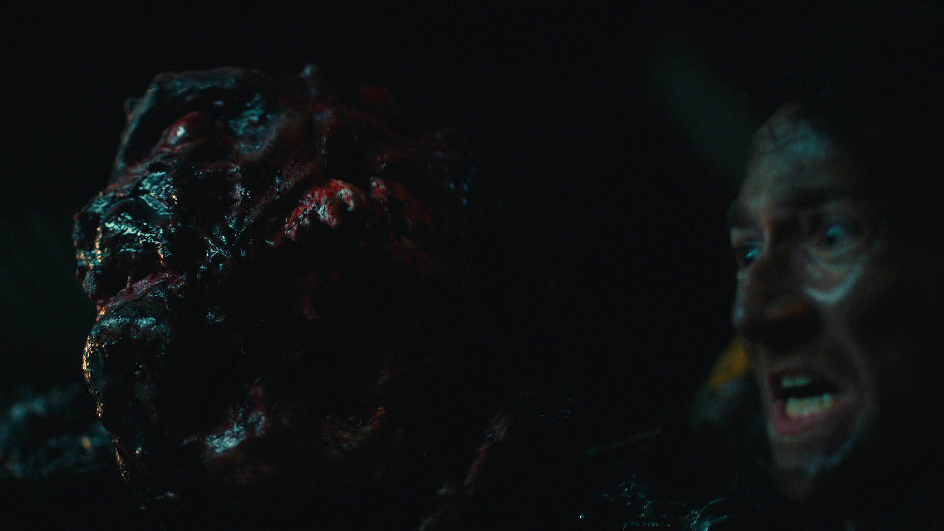 图片[14] • 《死亡重启/Dead Reset》v1.0.4|容量14GB|官方简体中文|支持键盘.鼠标.手柄 • BUG软件