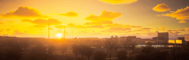 出租生涯：模拟城市驾驶|Taxi Life A City Driving Simulator|1.16.29934|整合全DLC