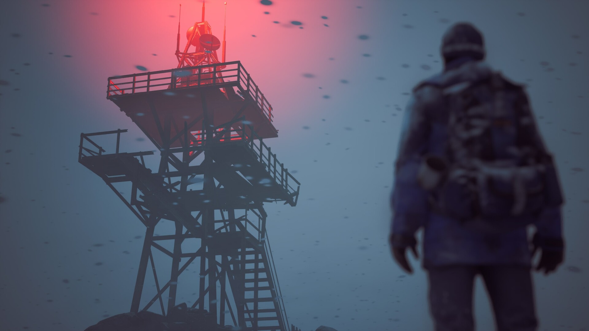 冬日幸存者 (Winter Survival)