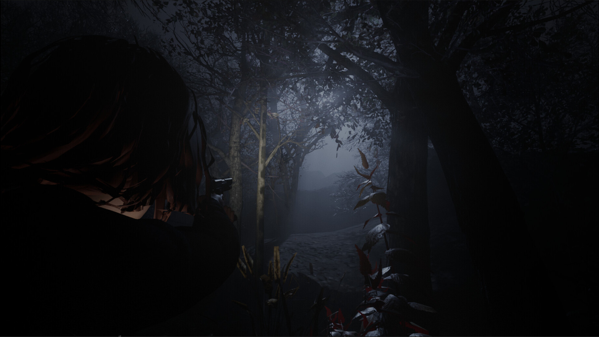 黎明教派 (Cult of Dawn)