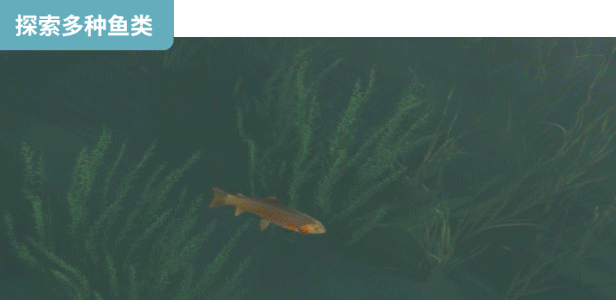 图片[4]-荒野的召唤：垂钓者/Call of the Wild: The Angler v2.1.1.2897936|模拟经营|34.8GB|中文-蝶影二次元