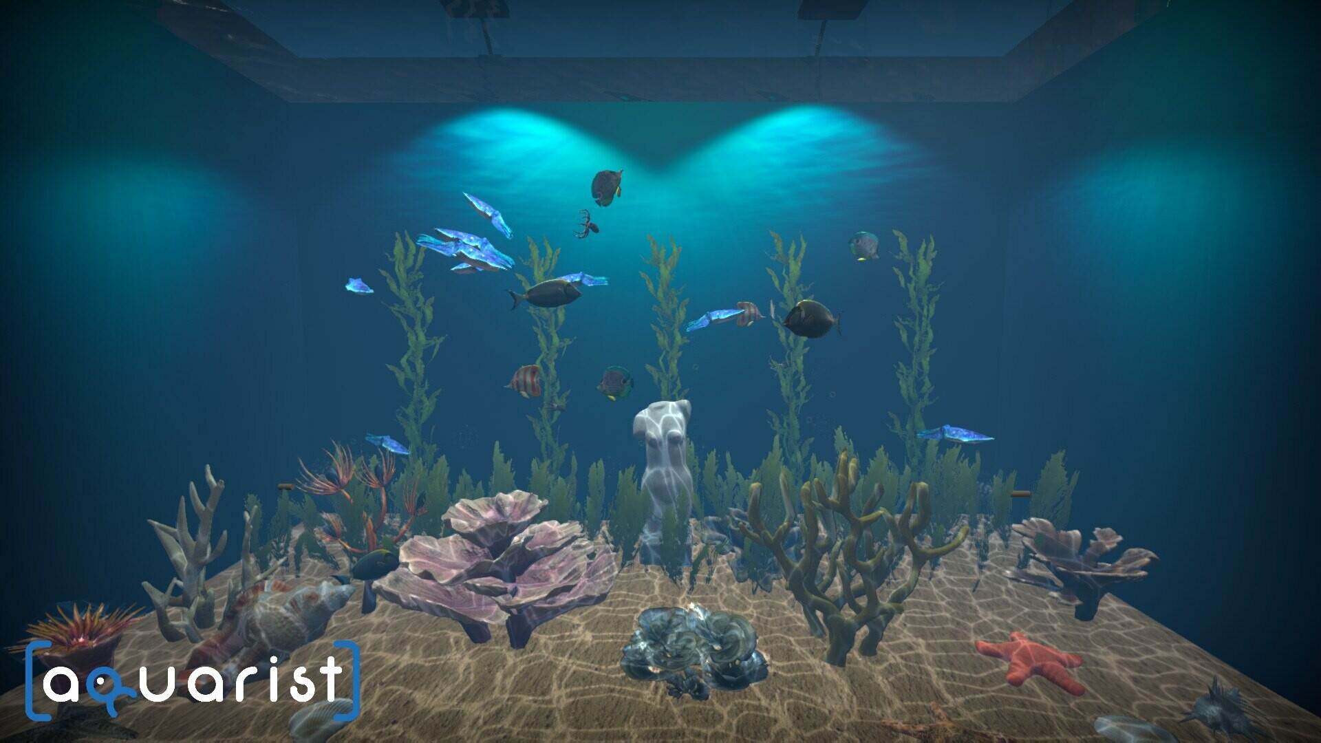 水族馆|Aquarist|Build18222695|整合全DLC