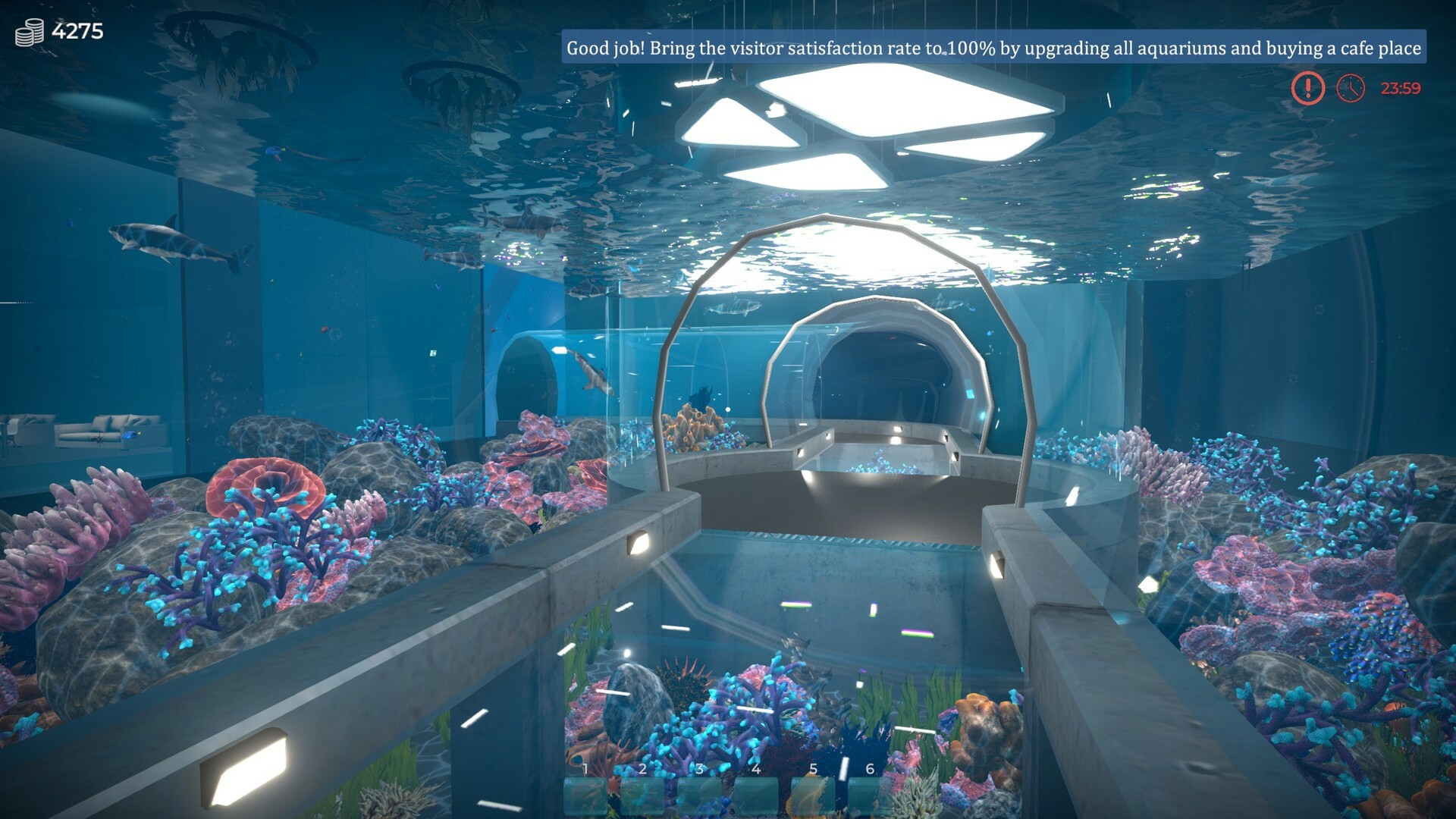 Aquarist – 建造水族馆，养鱼，发展你的事业！|全DLC|6G大小|官方中文|支持手柄