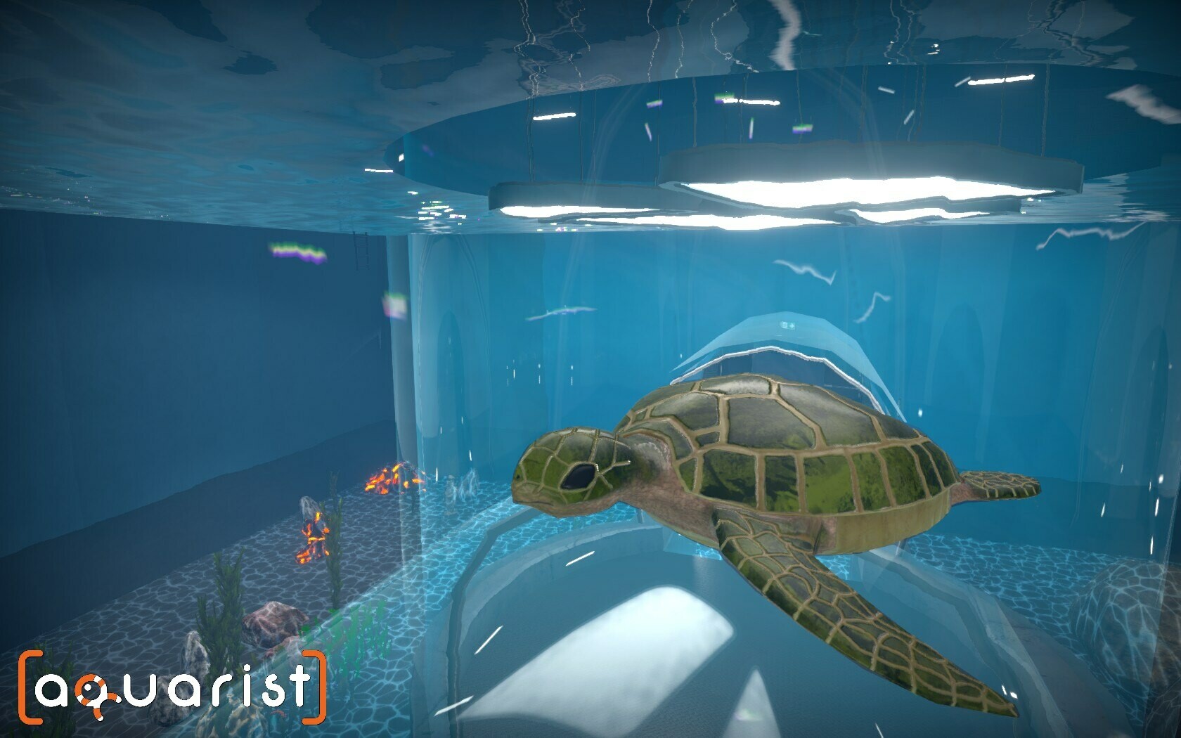 水族馆|Aquarist|Build18222695|整合全DLC