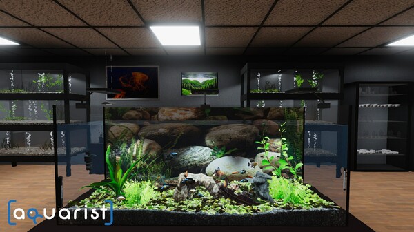 图片[2]- 《水族馆模拟器|建造水族馆，繁殖鱼类，拓展你的业务!》Build.23511129（Aquarist）全DLC|官方中文|解压可玩- 关先生资源站