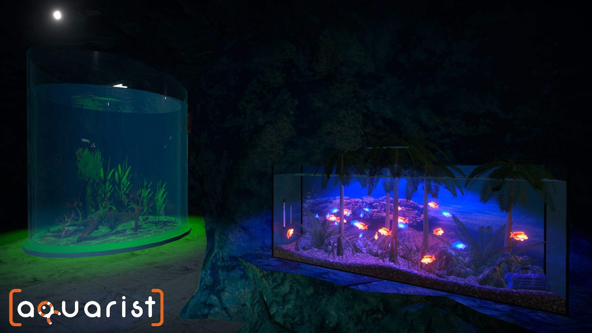 水族馆|Aquarist|Build18222695|整合全DLC