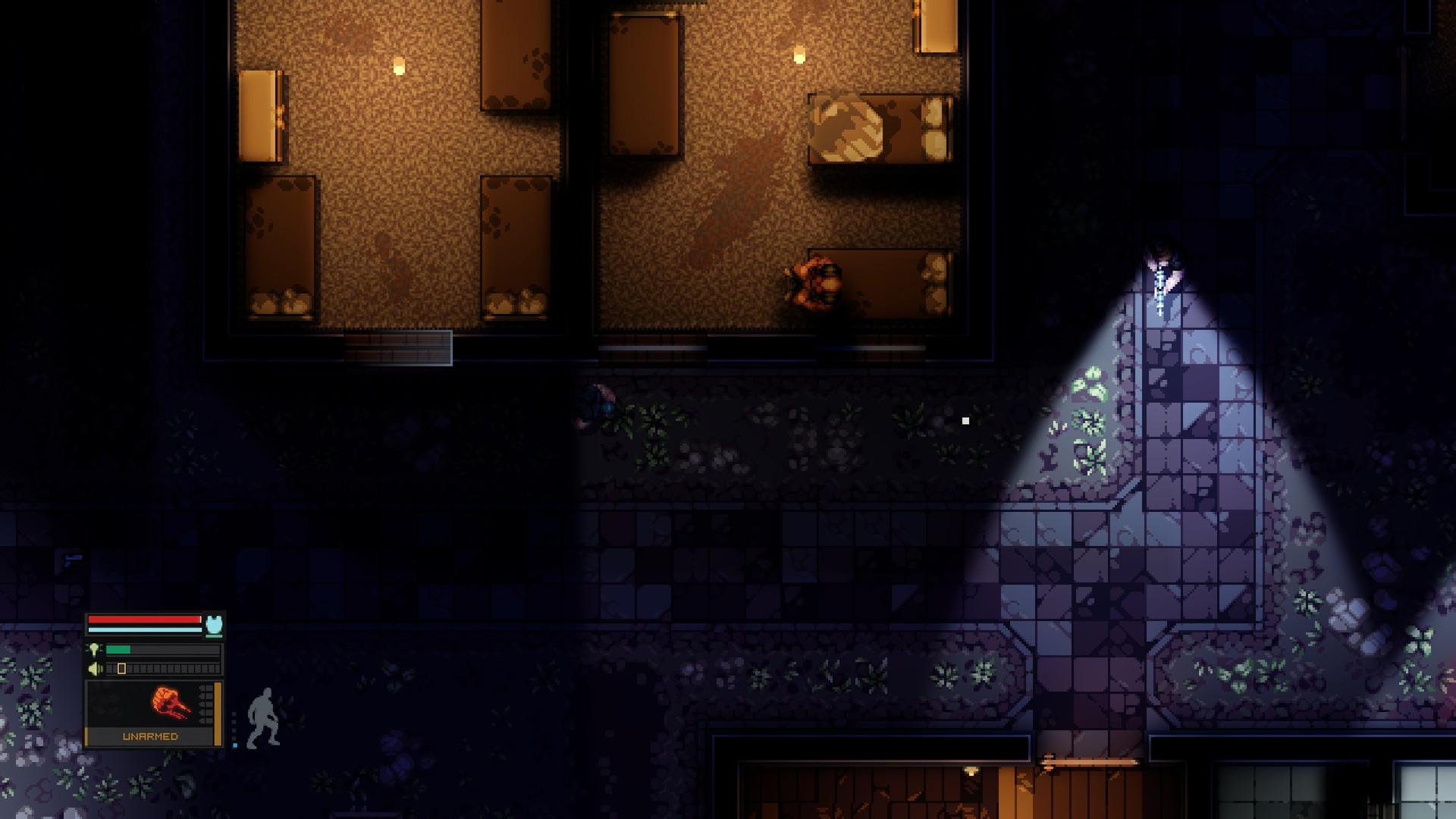 静脉注射 (Intravenous)