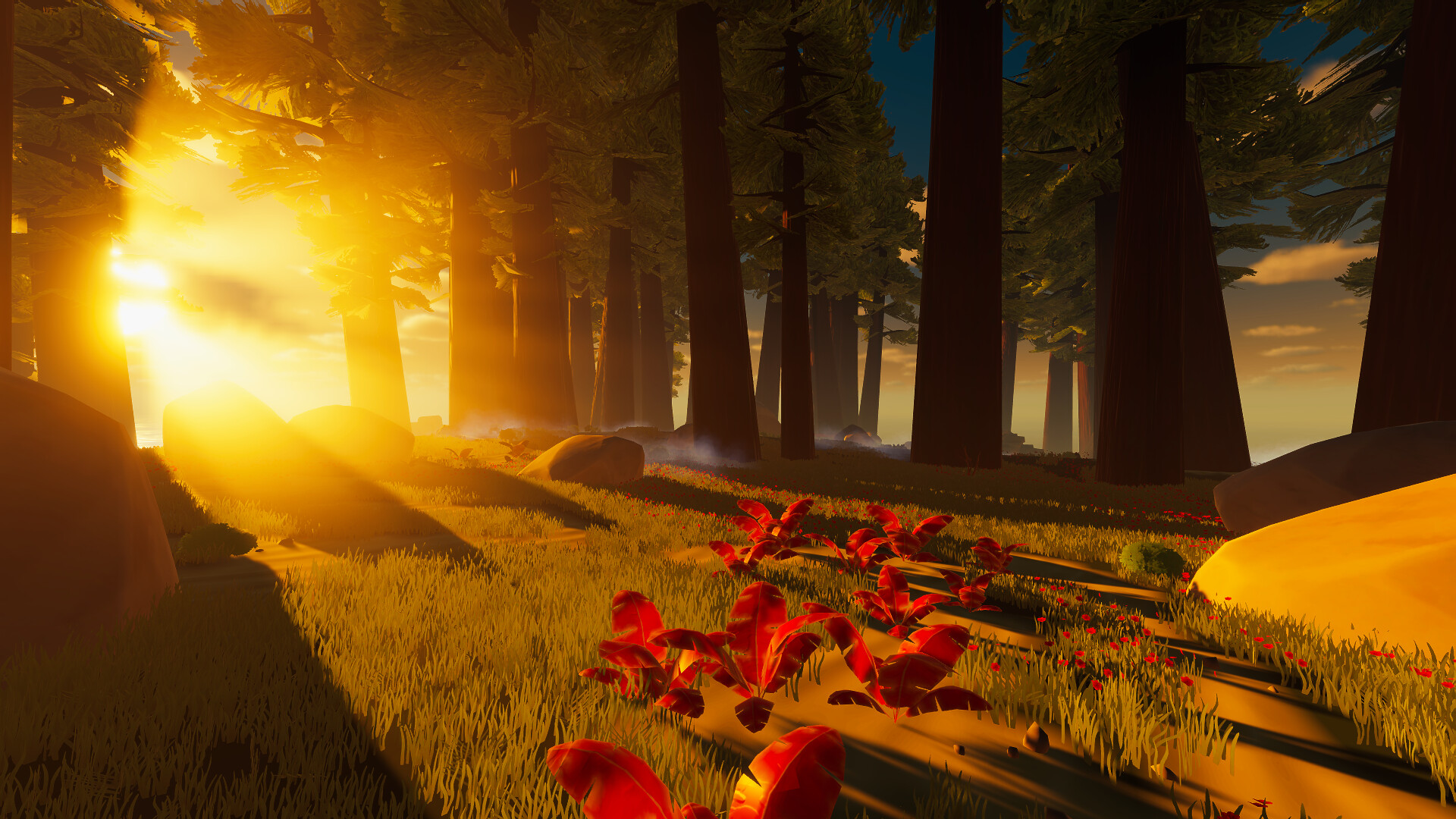 海盐2:黄金海岸|Salt 2 Shores of Gold|2025.2.3