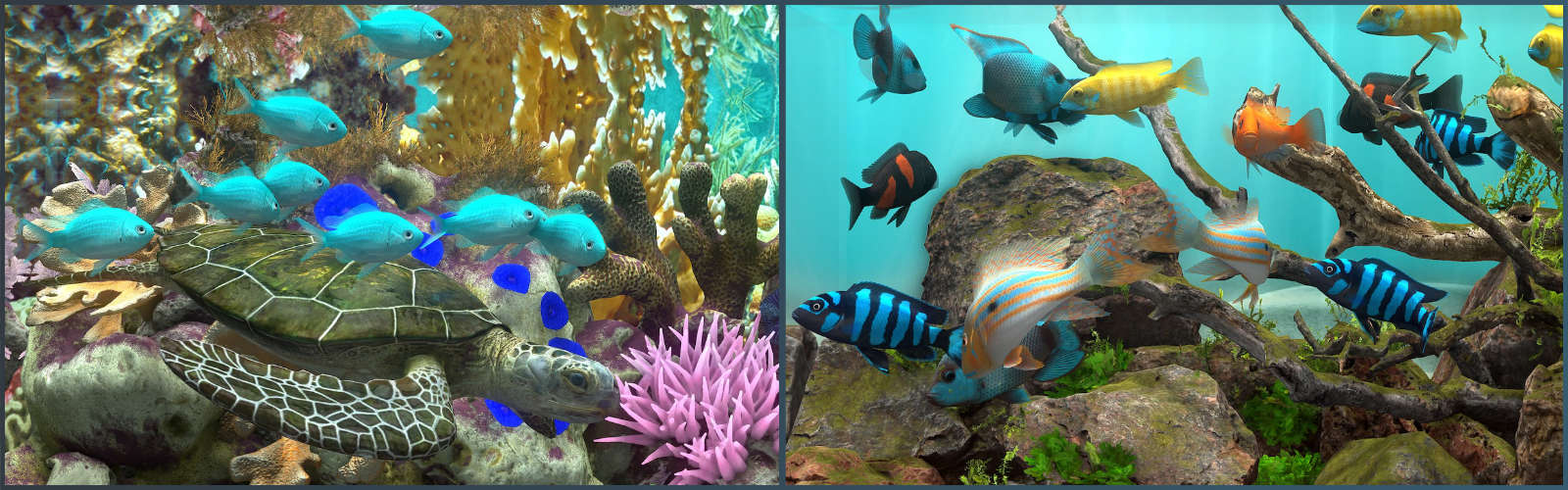 图片[2]-玻璃背后：水族馆模拟器/Behind Glass: Aquarium Simulator v1.2|模拟经营|容量1.4GB|免安装绿色中文版-KXZGAME