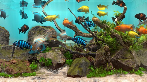 玻璃背后：水族馆模拟器 v20240109（Behind Glass: Aquarium Simulator）免安装中文版 截图