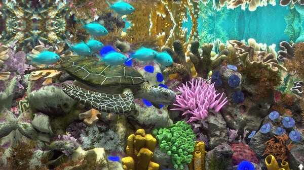 玻璃背后：水族馆模拟器 v20240109（Behind Glass: Aquarium Simulator）免安装中文版 截图