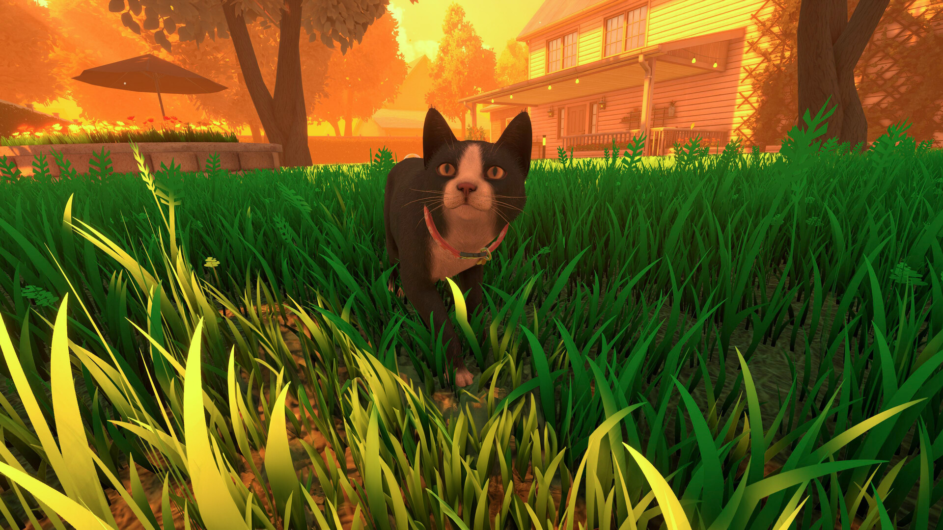 冒牌猫谜/Copycat v1.0.5|动作冒险|容量18.5GB|免安装绿色中文版|支持键盘.鼠标.手柄