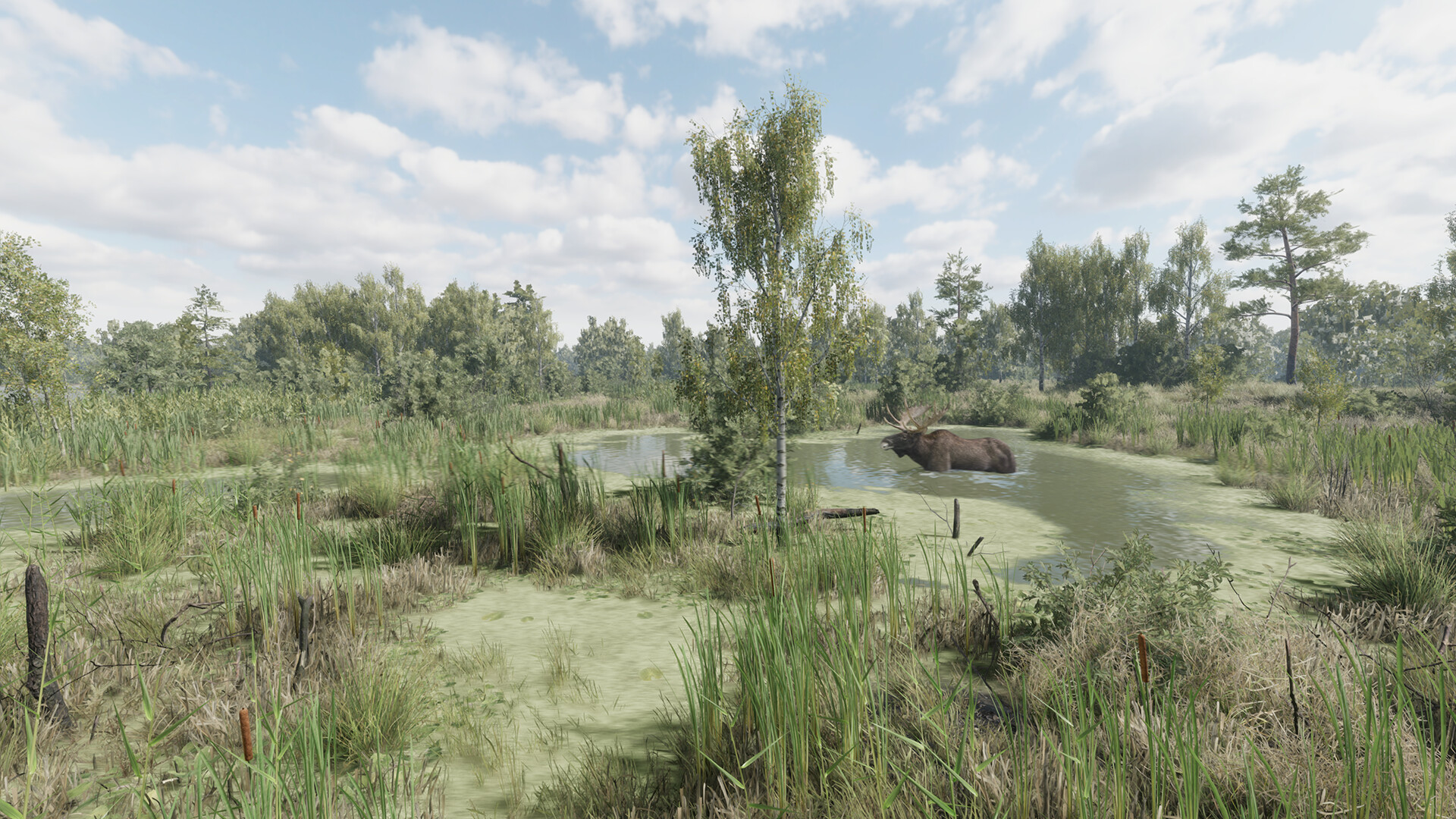 猎捕行动|官方中文|On the Hunt插图4vtavta