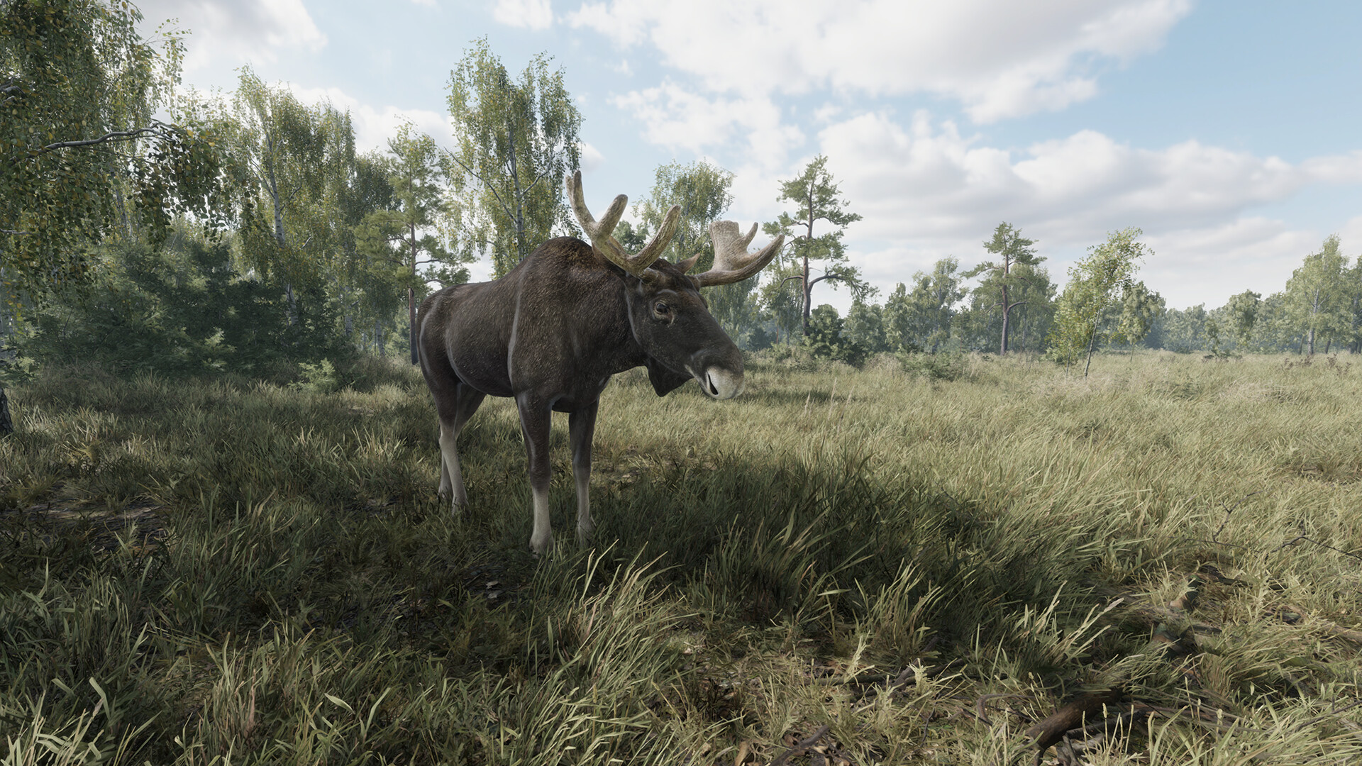 猎捕行动|官方中文|On the Hunt插图2vtavta