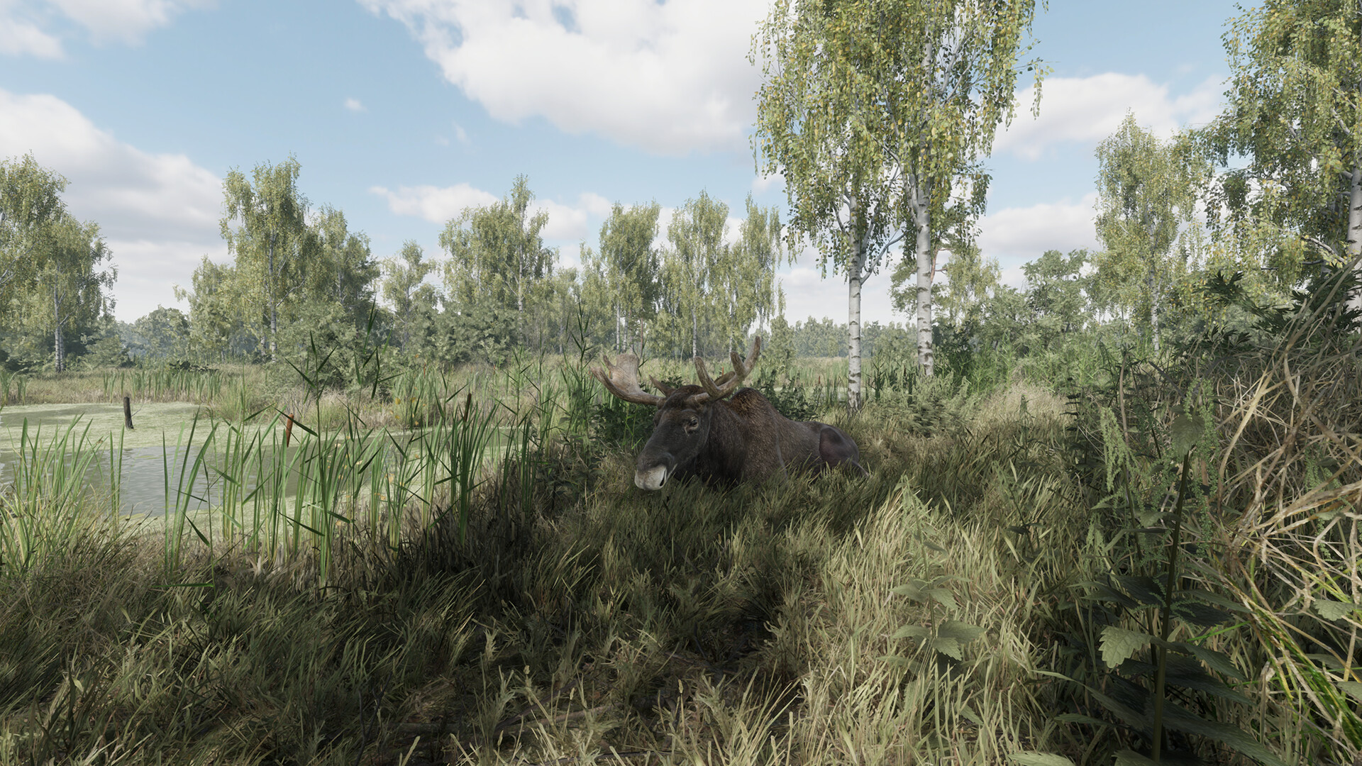 猎捕行动|官方中文|On the Hunt插图3vtavta