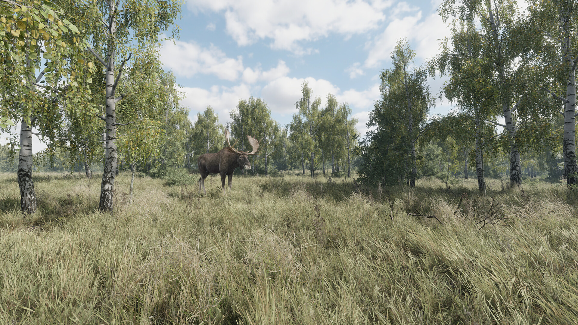 猎捕行动|官方中文|On the Hunt插图1vtavta