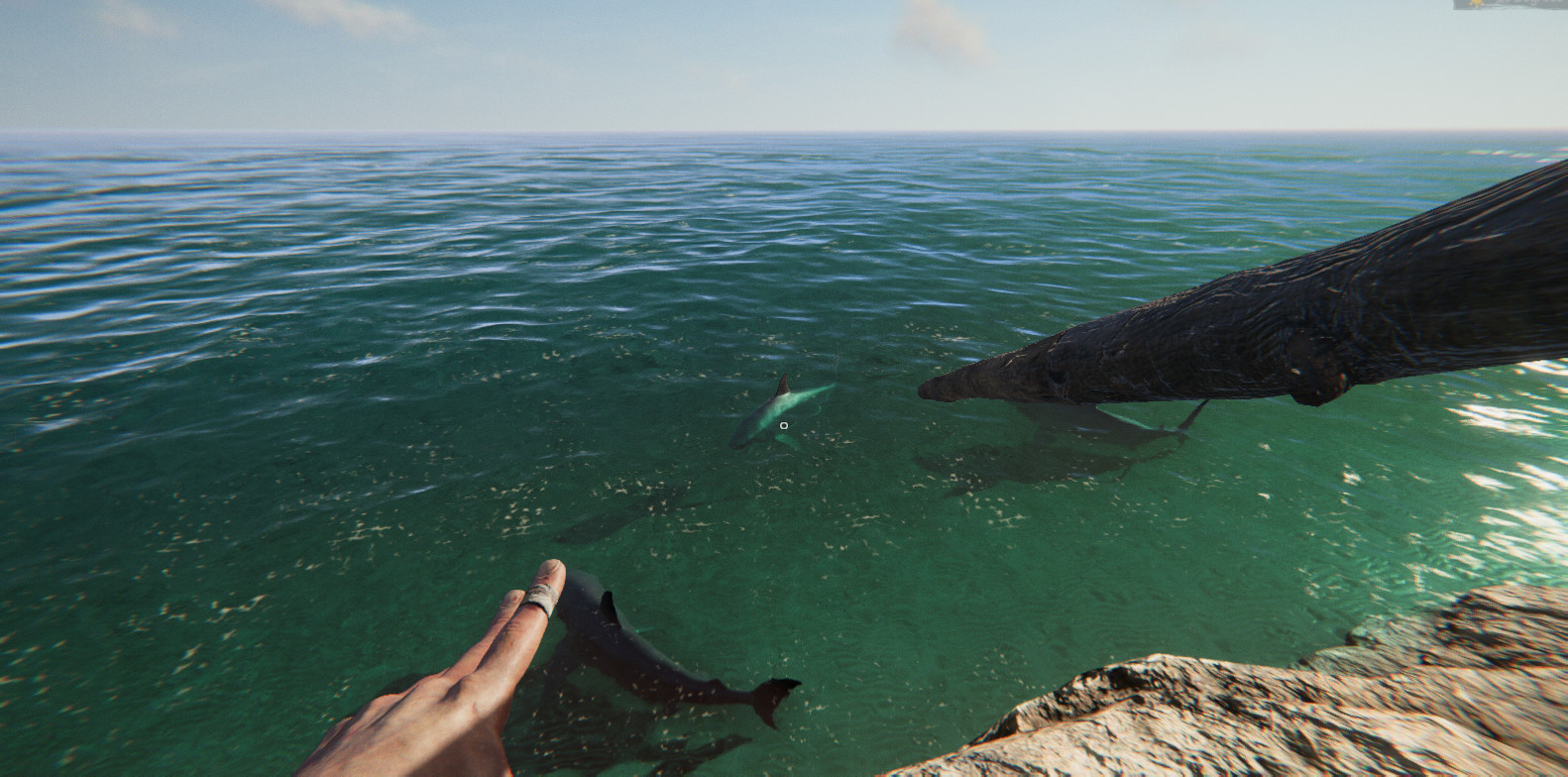 漂流计划/Project Castaway v0.1.52|动作冒险|容量6.1G|免安装绿色中文版|支持键盘.鼠标.手柄