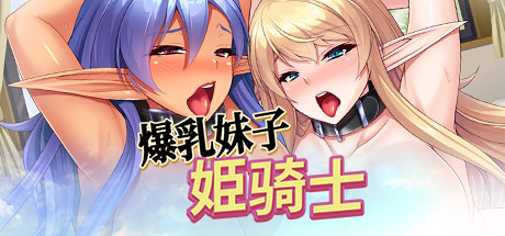 图片[1]-公主骑士：爆乳妹子姫骑士-秋风资源网
