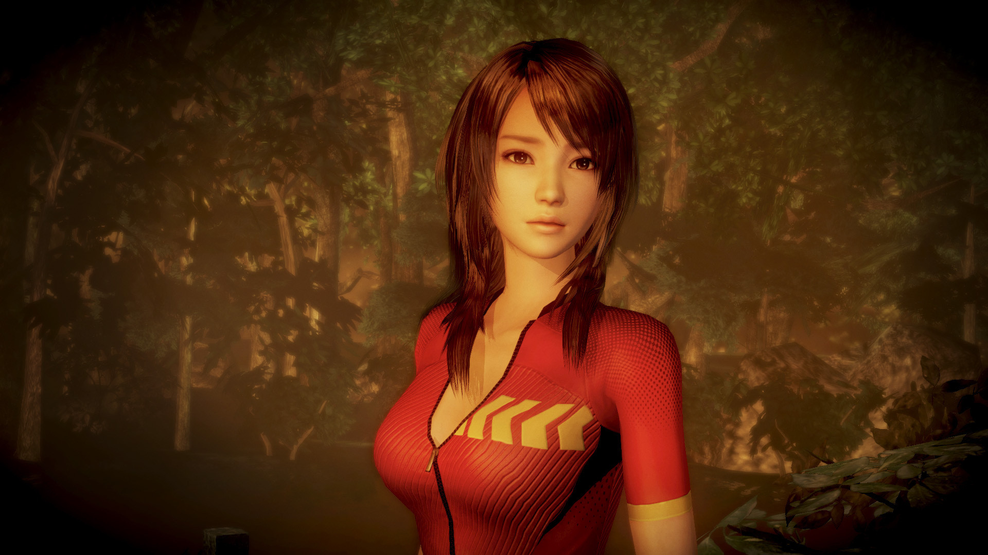 图片[10]-零 ～濡鸦之巫女～/with bonus（v1.0.0.5-数位豪华版+全DLC）-秋风资源网