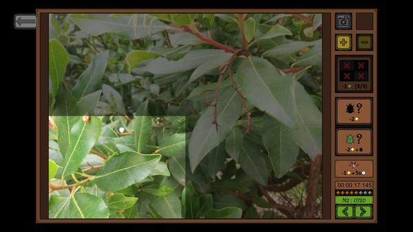 图片[4]-昆虫探寻者/Insect Seeker-秋风资源网